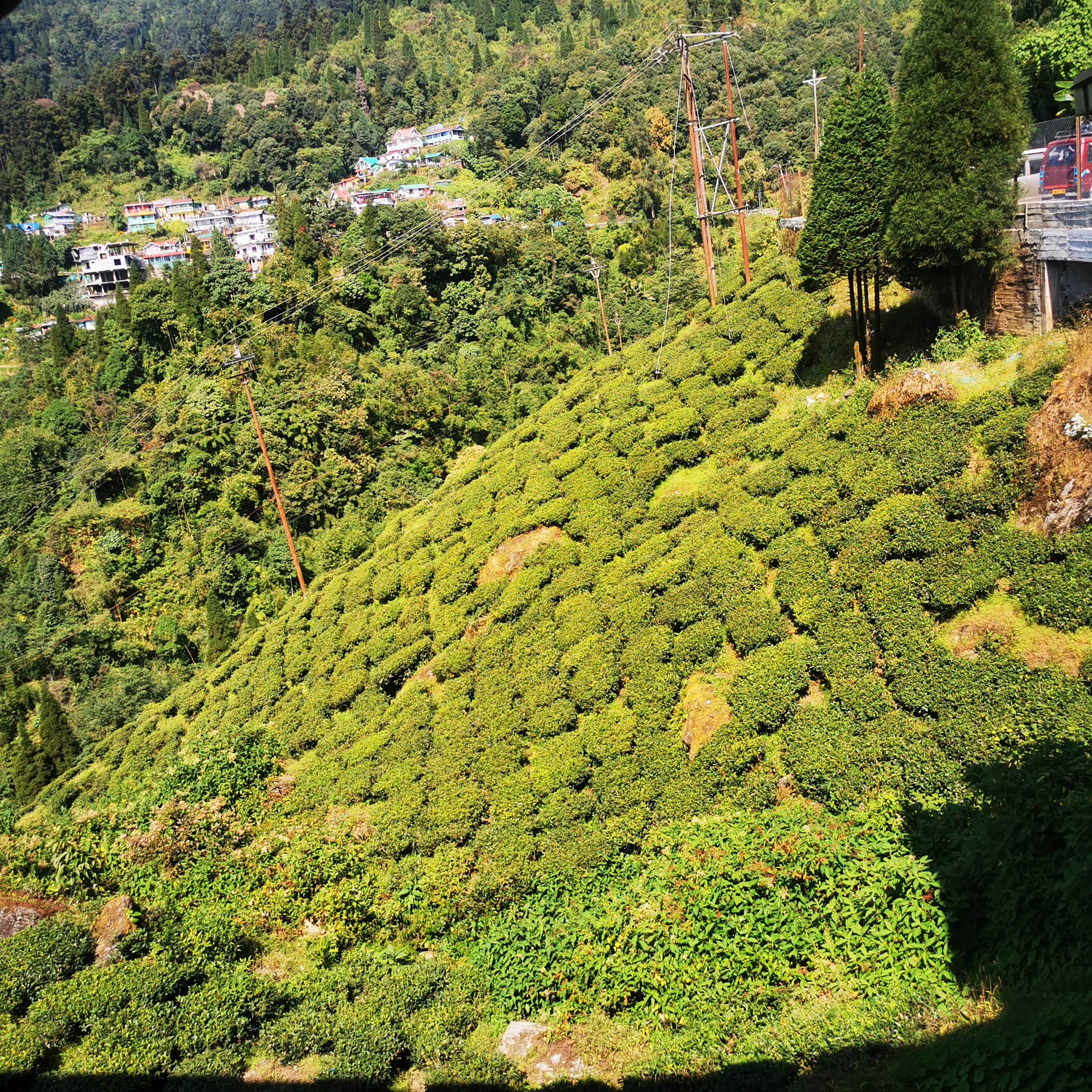 margaret's hope - plantation