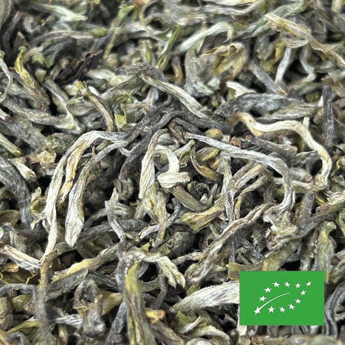 monts célestes - feuilles sèches 2