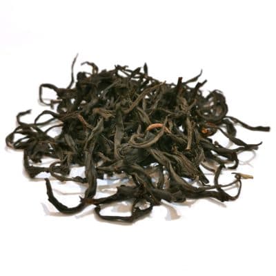 Dragon du Nilgiri 1