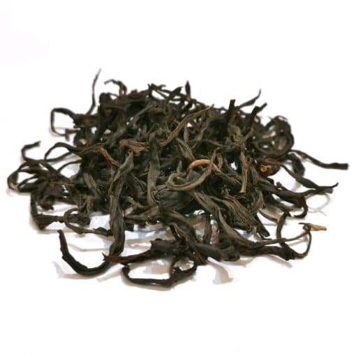 Dragon du Nilgiri 1