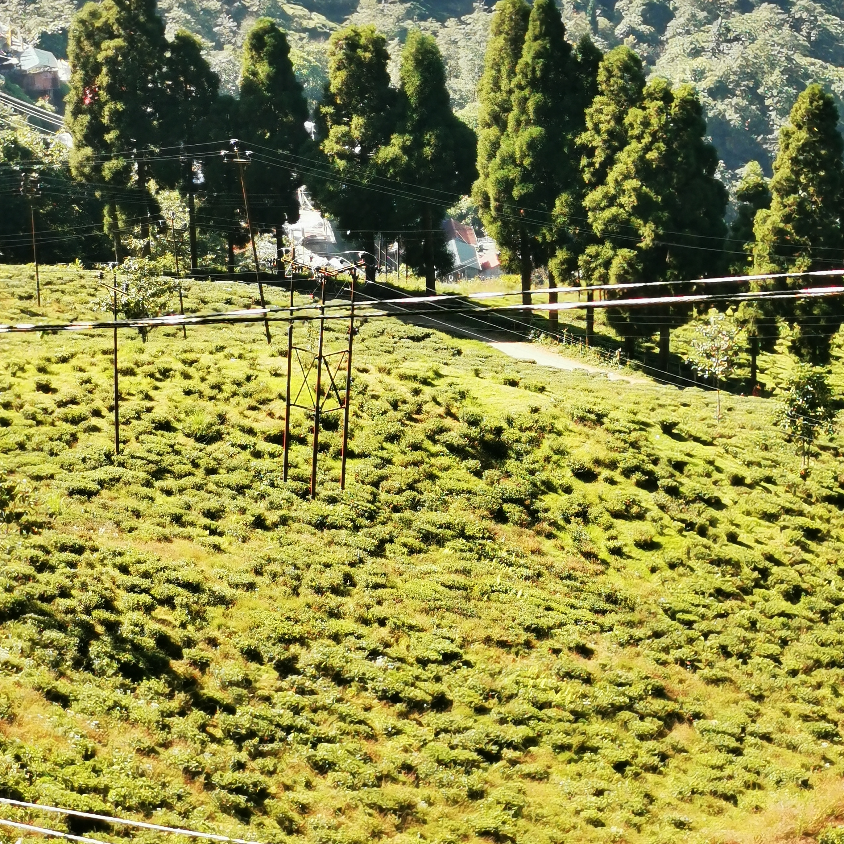 happy valley - vue