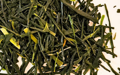 Sencha Yamabuki BIO – récolte 2024
