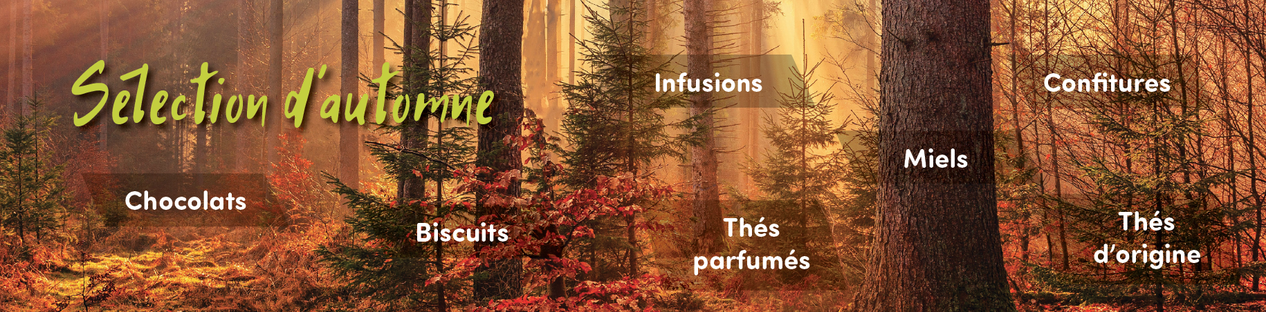 banner automne banner automne