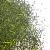 fukamushi sencha asanoka - feuilles sèches