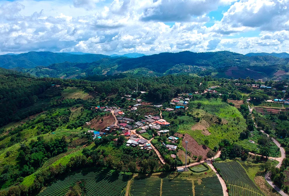 Doi Mae Salong -Thaïlande