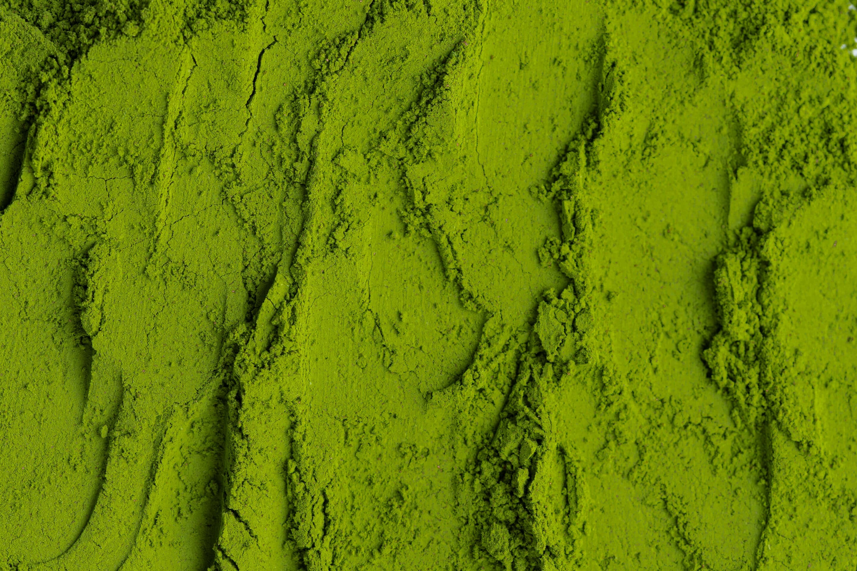matcha de cérémonie - Louva Matcha