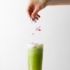 louva matcha sakura - matcha latte sakura