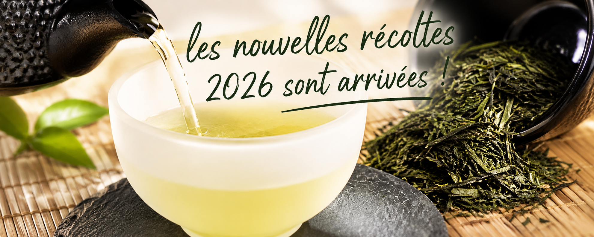 bannière nouvelles récoltes 2026 nouvelle récolte sencha